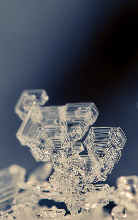 nature_20210212_130639.jpg