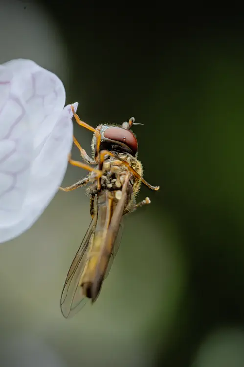 nature_20210901_072117.jpg