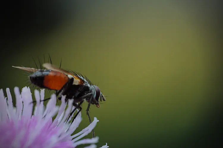 nature_20210904_182350.jpg