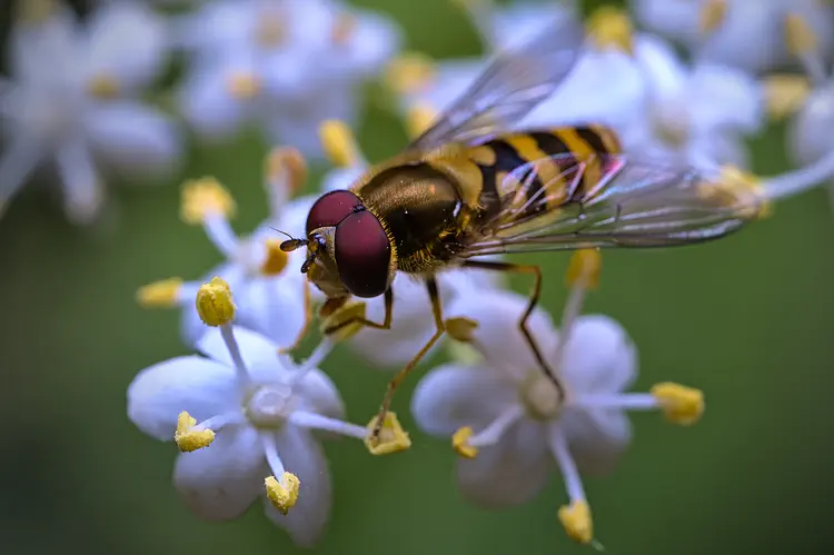 nature_20220526_154646.jpg