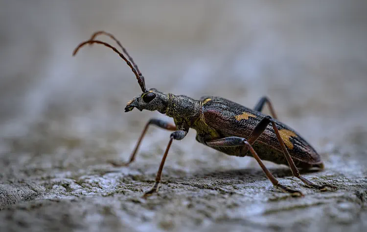 nature_20220526_161209.jpg