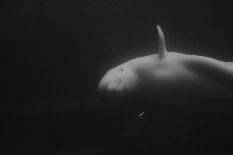 nature_20230510_012049.JPG