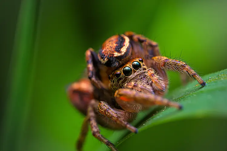 nature_20230528_172716.jpg